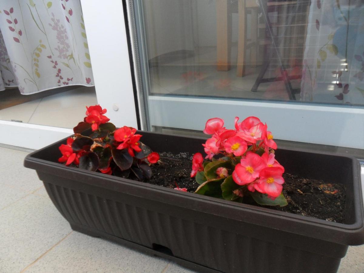 Apartment Pavo Задар Екстериор снимка